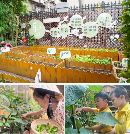 汉区北湖幼儿园抓牢关键阶段尊龙凯时app网站武汉市江