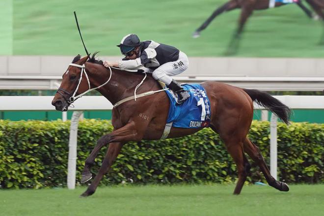 眼罩夺魁家族曾养香港马王尊龙凯时网站王经纬赛驹戴