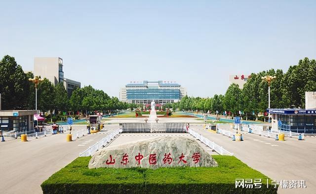 2024年招生爆冷？王牌专业录取线分尊龙凯时ag旗舰厅网站山东中医药大学(图3)